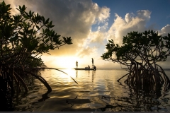 Fishing_mangroves