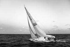 SailingBW